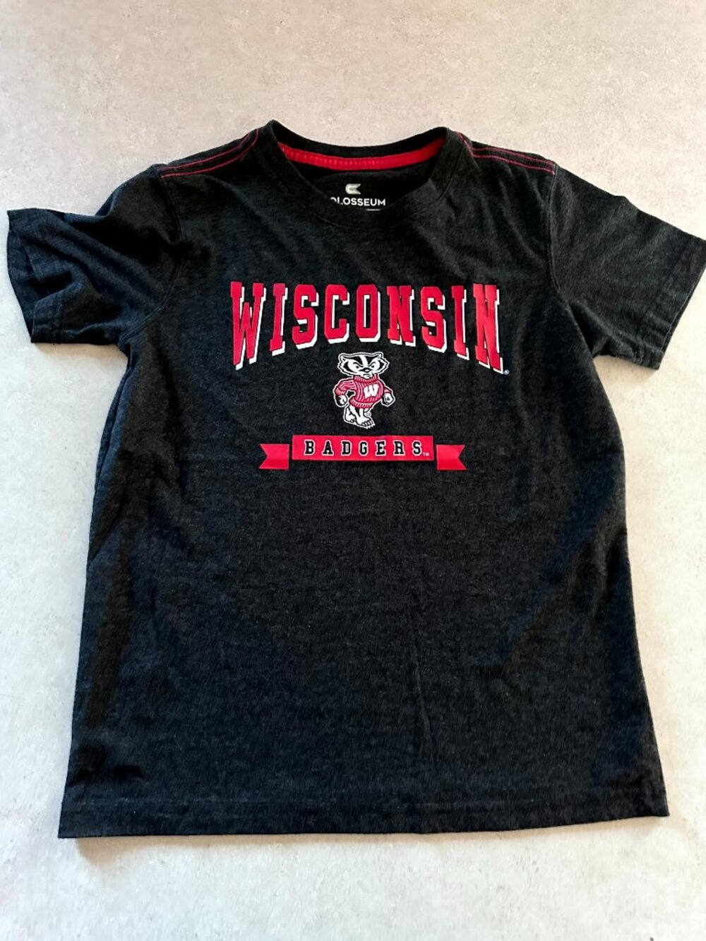 Wisconsin Badgers Youth T-shirt Size Medium (12-14) Bucky Badger Grey Red